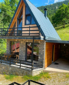 Villa Roni